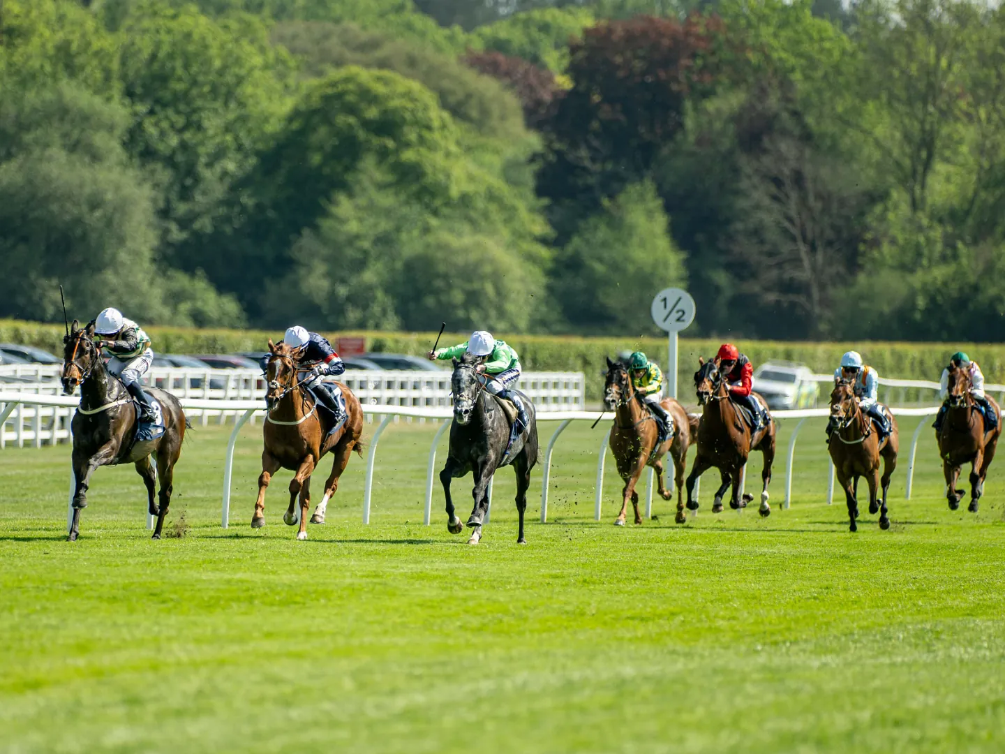 ockey riding a racehorse over the turf at Lingfield Park on a summer afternoon