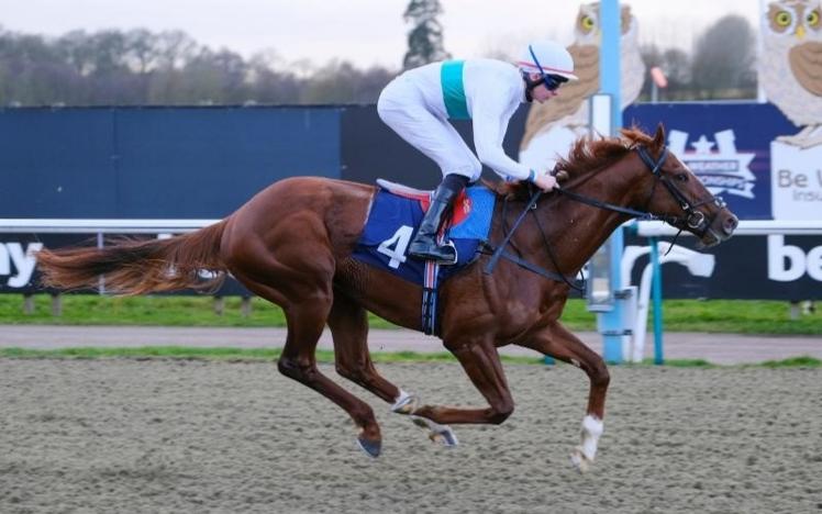 wissahickon at lingfield park 