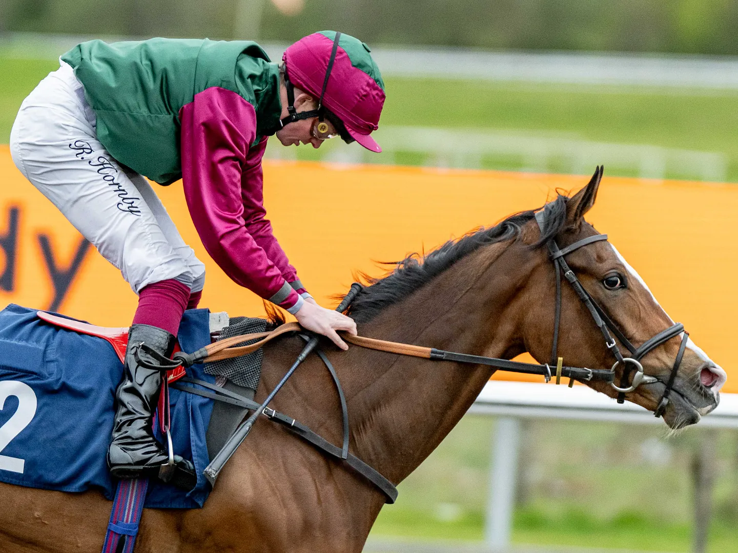 Horse and jockey in a race on the All Weather track at Lingfield Park, with the rail alongside