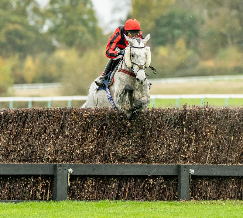 Jump racing in Surrey and Sussex