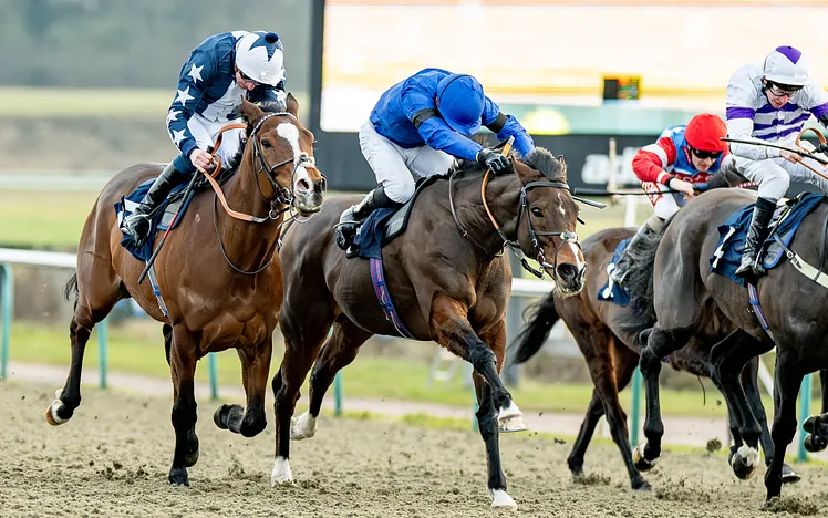 Quebec Stakes Boxing Day in Surrey