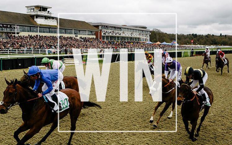 Horses galloping past the grandstand at Lingfield Park Resort