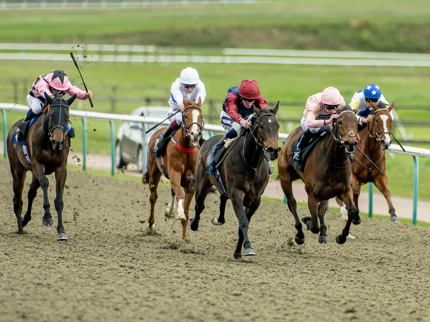 ockeys and horses at speed on the All Weather surface at Lingfield Park