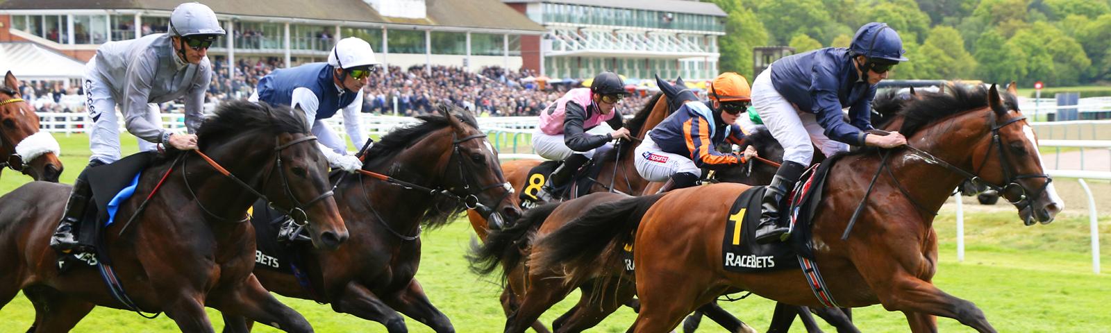 Flat Turf Racing at Lingfield Park Resort in Surrey 