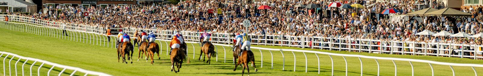 Lingfield crowd shot