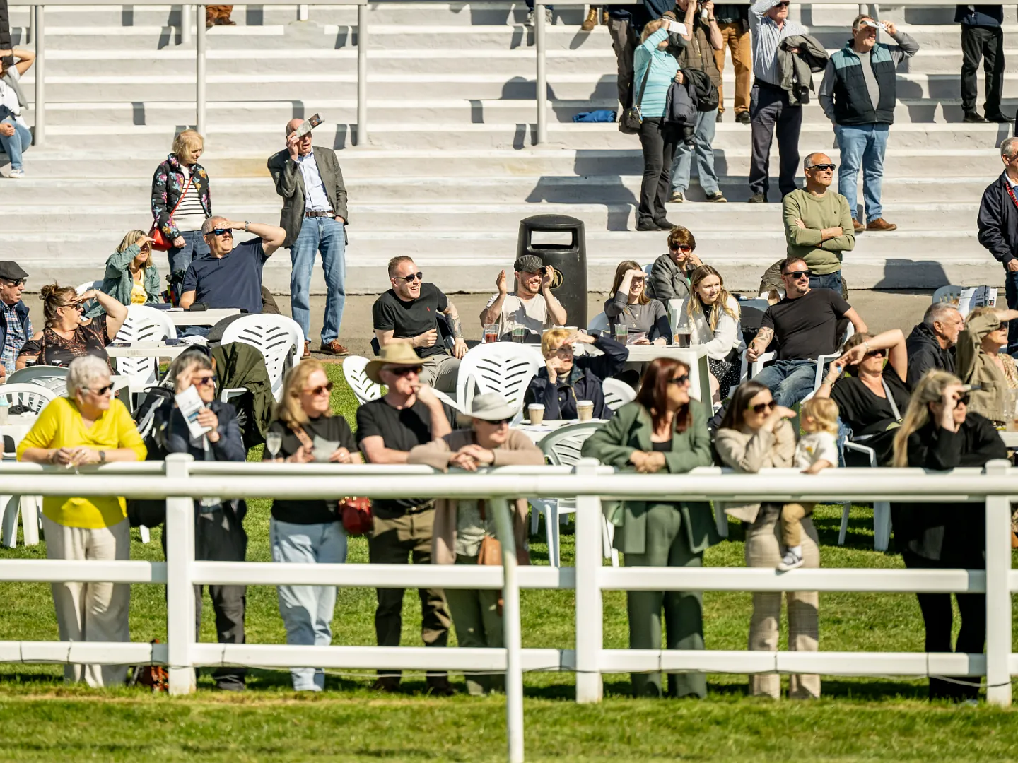 Racehorses and jockeys racing on the turf at Lingfield Park
