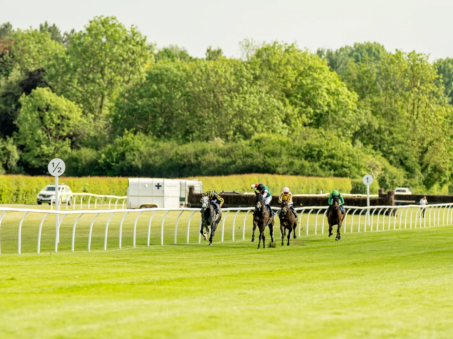 Racehorses and jockeys racing on the turf at Lingfield Park