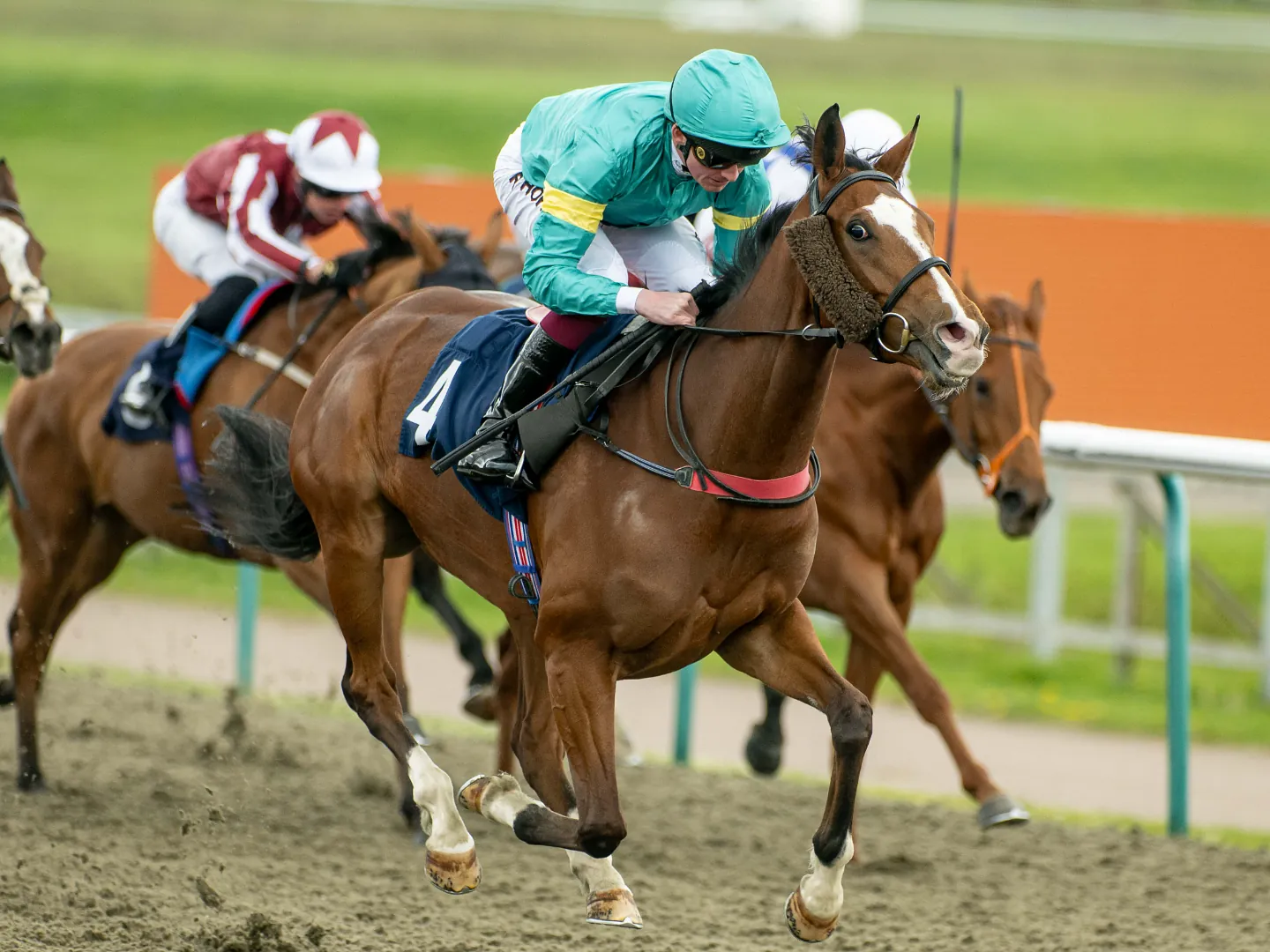 Horses and jockeys racing on the All Weather track at Lingfield Park