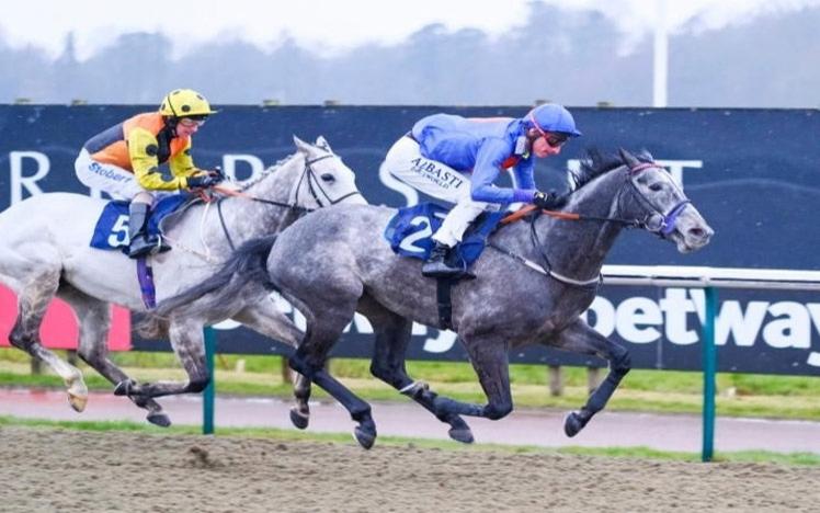 Jockeys racing at Lingfield Park.