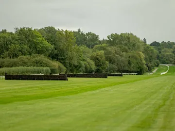 Jumps racing in Surrey