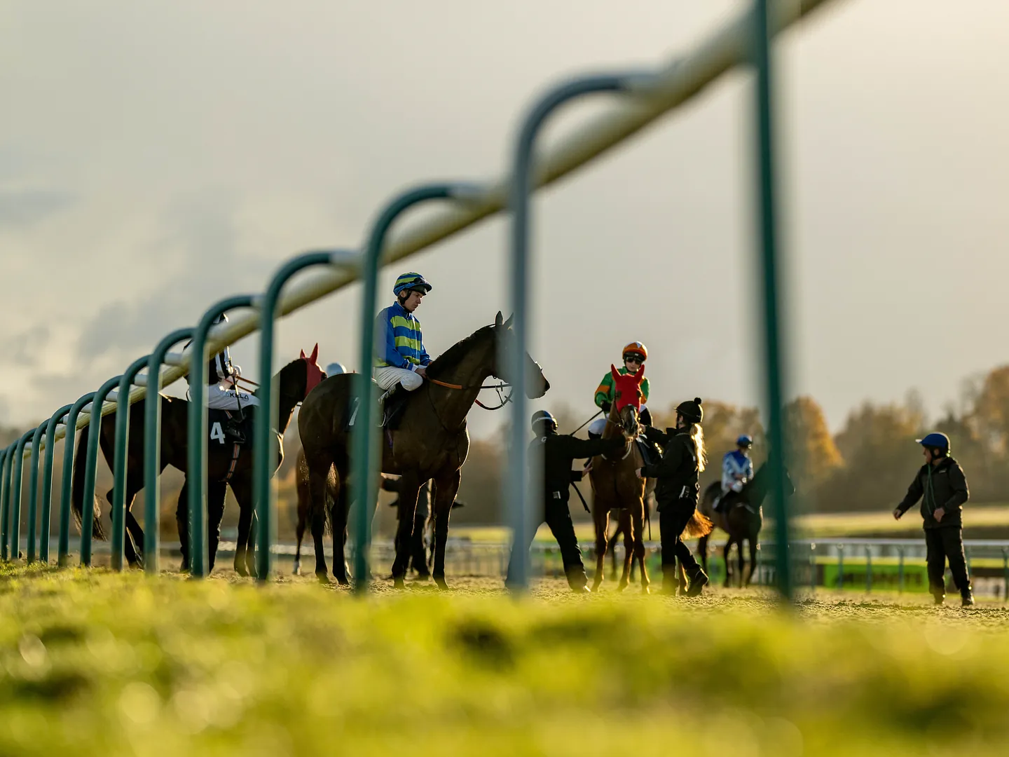 Horses racing towards the finish on the all-weather track at Lingfield Park on a bright winter afternoon.