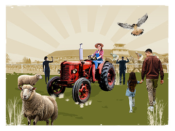 Surey Countryside Raceday