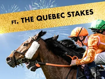 new years eye racing 2025 lingfield park