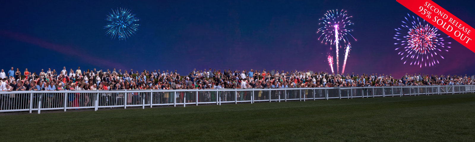 fireworks night at lingfield park racecourse 2026 artwork
