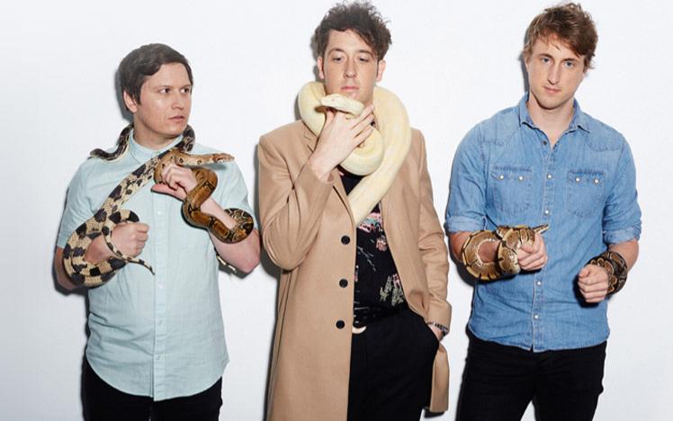 Members of the Wombats band.