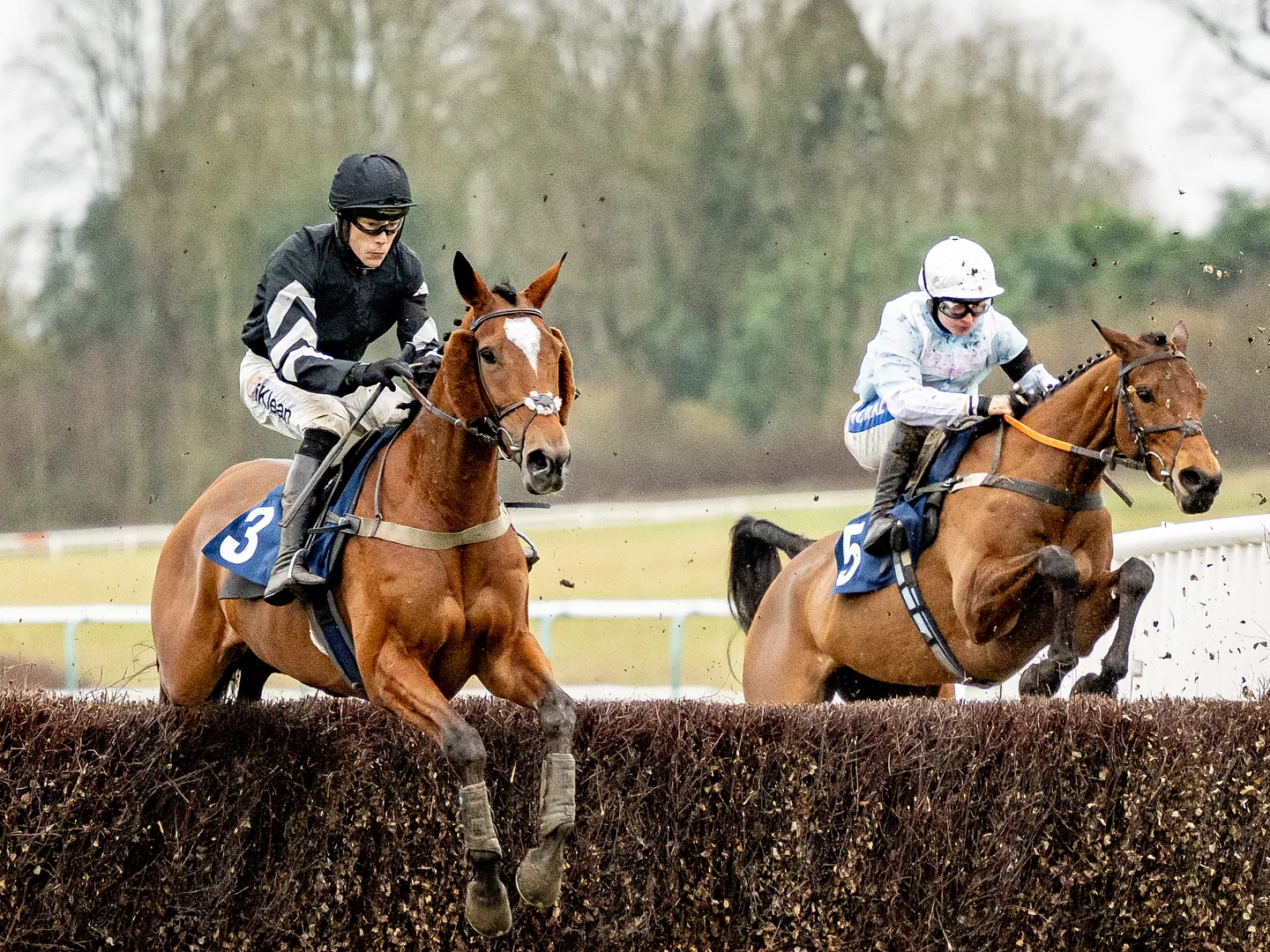 Festive activities in Surrey