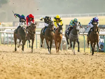 lingfield park all weather afternoon racing