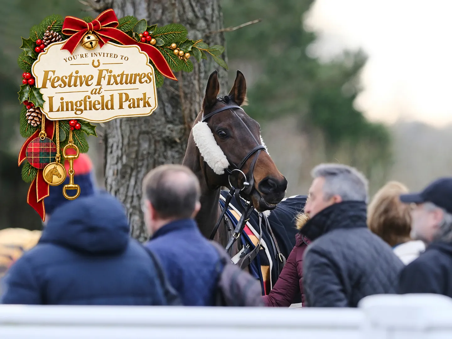Christmas horse racing in Surrey