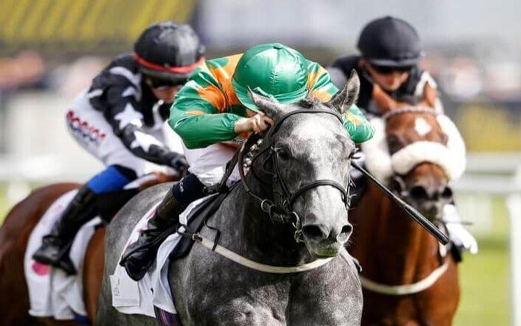 Three jockeys racing at Lingfield Park.