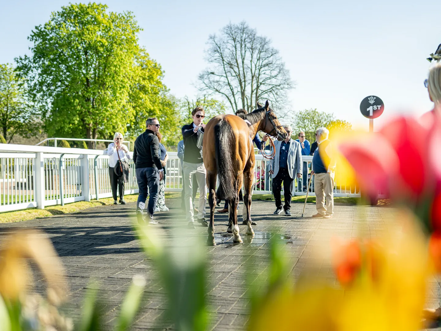 Thursday Evening - 19 August All Weather Racing 2027