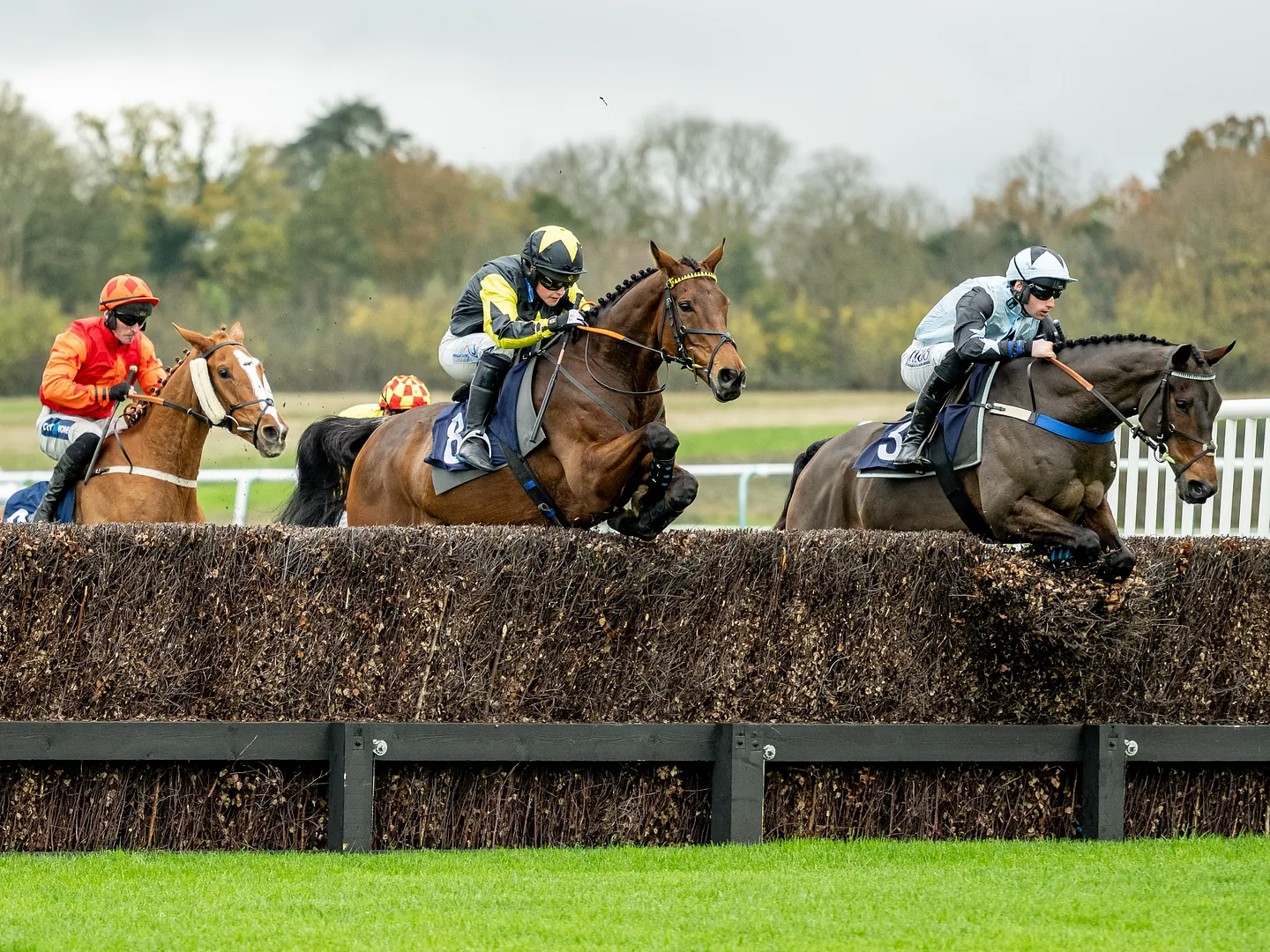 Racegoers in festive Christmas jumpers enjoying Christmas Jumpers raceday at Lingfield Park