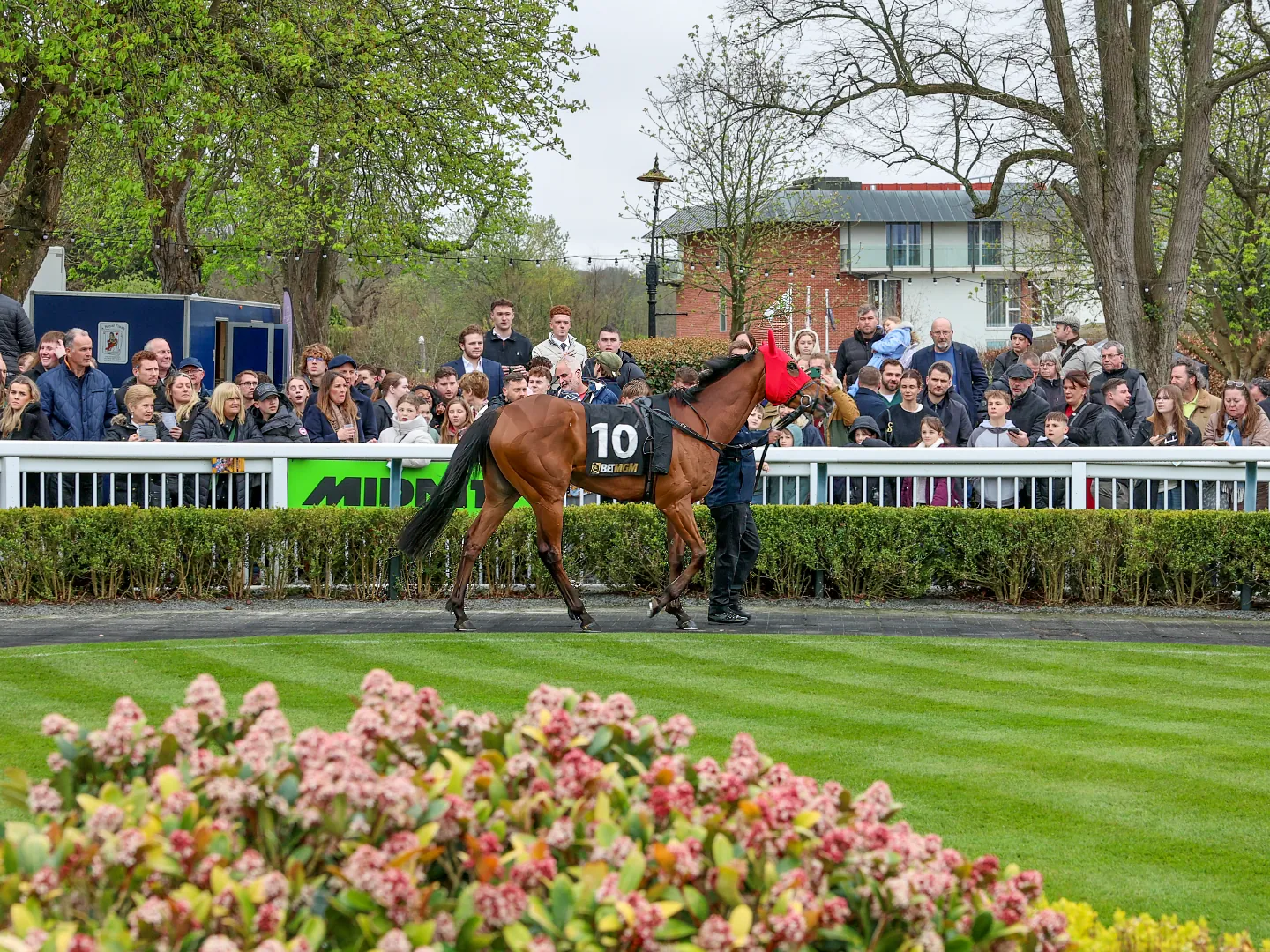 Jockeys in colourful silks riding through a bend on the All Weather track at Lingfield Park