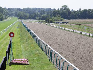 Lingfield home straight 