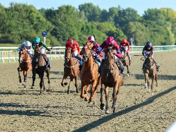 Immortal Beauty last Racing League at Lingfield 