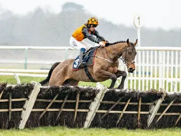 lingfield park afternoon jump racing