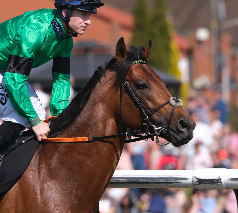 Kachy winning in 2018