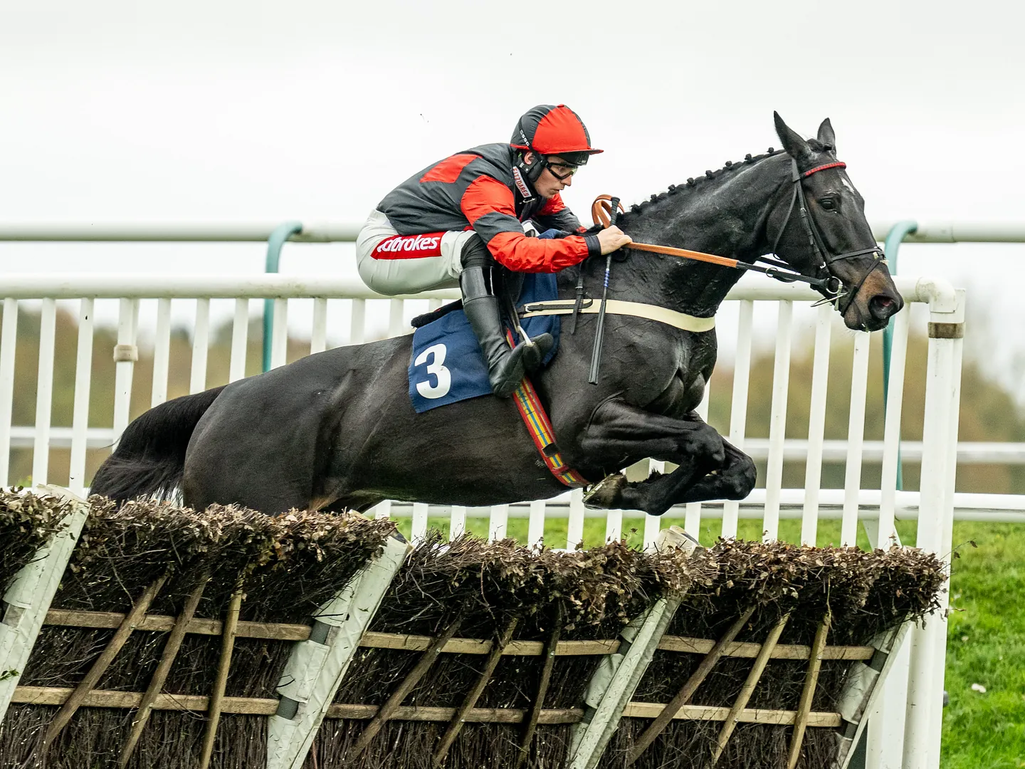 Racehorse and jockey jumping a fence during autumn jump racing at Lingfield Park, Surrey